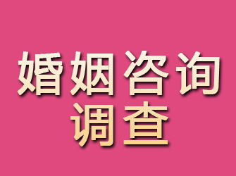 信阳婚姻咨询调查